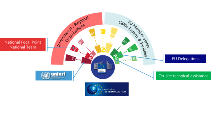 CoE network structure infographic