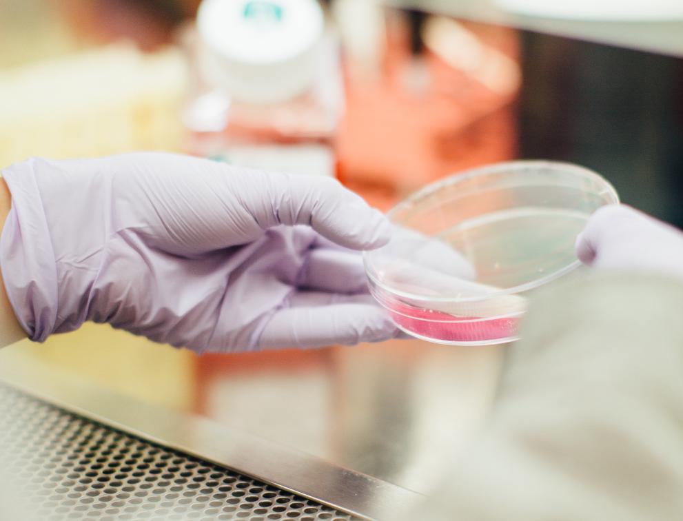 Singapore advances responsible use of life sciences with new Biorisk Code of Conduct