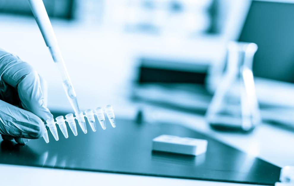 sampling at laboratory