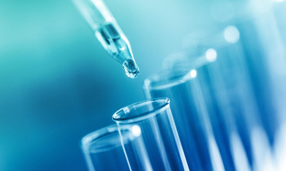 Lab