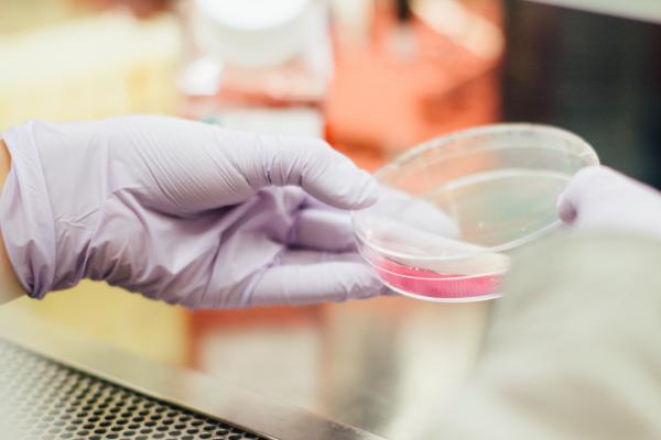 Singapore advances responsible use of life sciences with new Biorisk Code of Conduct