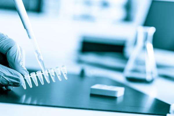 sampling at laboratory